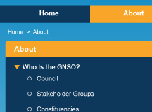 gnso.icann.org 